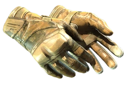★ Moto Gloves | Transport