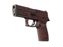 P250 | Contaminant
