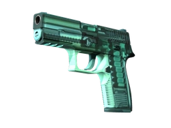 P250 | X-Ray