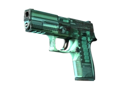 P250 | X-Ray