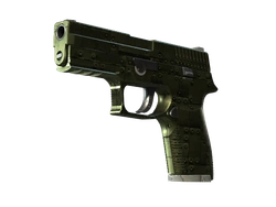 P250 | Iron Clad