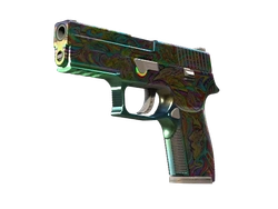 P250 | Visions
