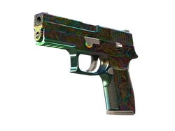 P250 | Visions
