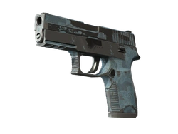 P250 | Forest Night