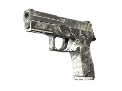 P250 | Sleet