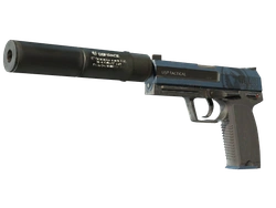USP-S | Guardian