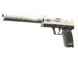 USP-S | Printstream