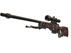AWP | Duality