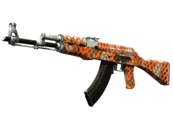 AK-47 | Safety Net