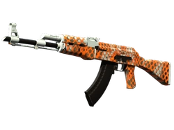 AK-47 | Safety Net