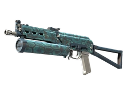 PP-Bizon | Cold Cell