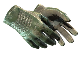 ★ Driver Gloves | Racing Green