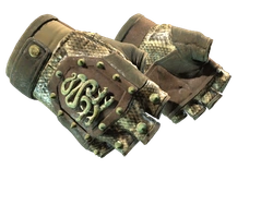 ★ Hydra Gloves | Rattler