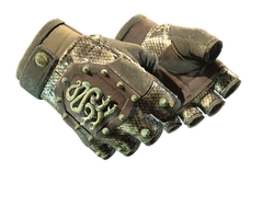 ★ Hydra Gloves | Rattler