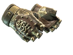★ Hydra Gloves | Rattler