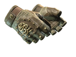 ★ Hydra Gloves | Mangrove