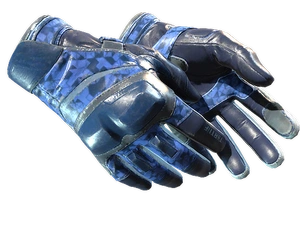 ★ Moto Gloves | Polygon