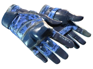 ★ Moto Gloves | Polygon