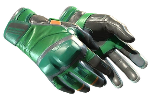 ★ Moto Gloves | Turtle