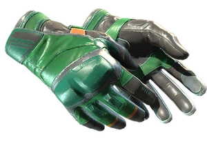 ★ Moto Gloves | Turtle