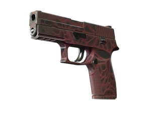 P250 | Contaminant