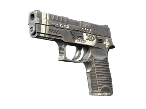 P250 | Re.built
