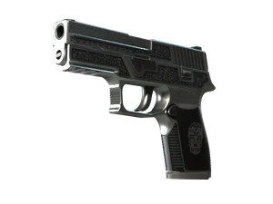 P250 | Cartel