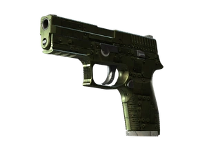 P250 | Iron Clad