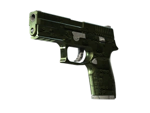 P250 | Iron Clad