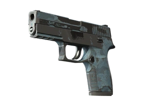 P250 | Forest Night