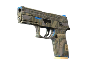 P250 | Exchanger