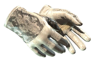 ★ Driver Gloves | King Snake