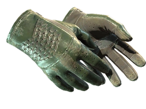 ★ Driver Gloves | Racing Green