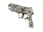 P250 | Sleet