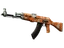 AK-47 | Safety Net