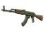 AK-47 | Jungle Spray