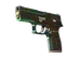 P250 | Visions