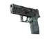 P250 | Forest Night