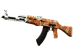 AK-47 | Safety Net