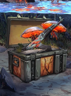 Reef