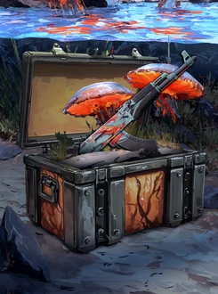 Reef