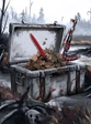 Wasteland