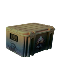 Case