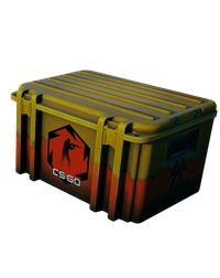 Case